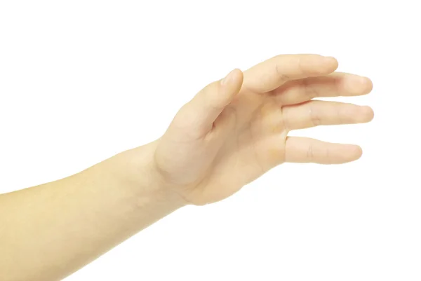 Hand on a white — Stock Photo, Image