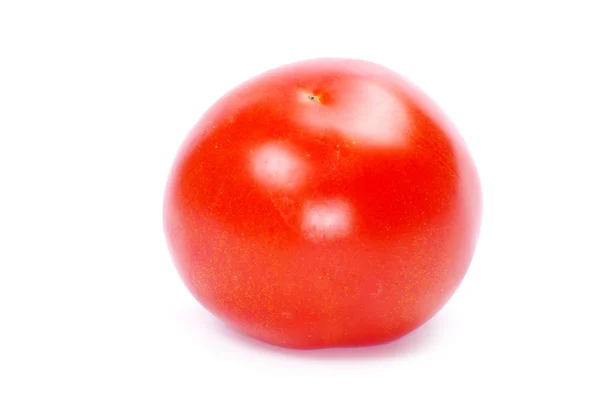 stock image Tomato on white