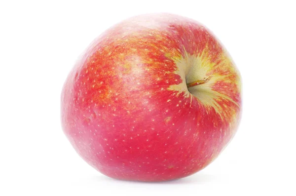 Яблоки на белом — стоковое фото
