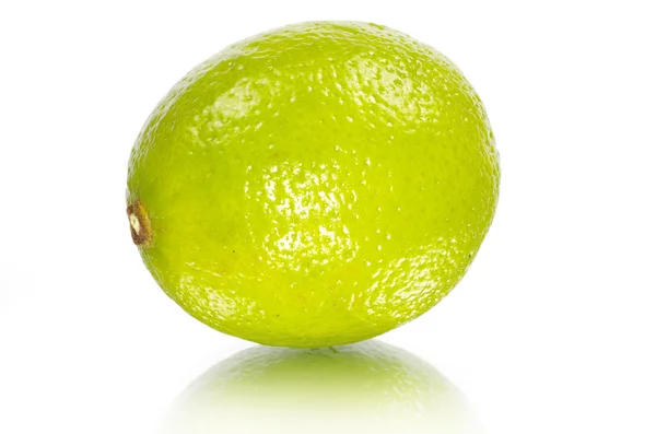 Citron vert sur blanc — Photo