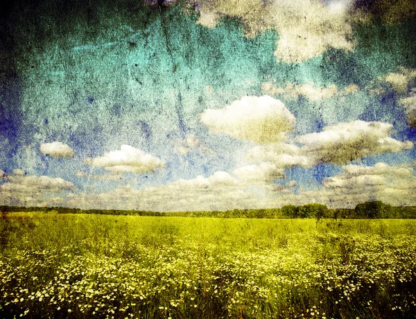 Zelená pole — Stock fotografie