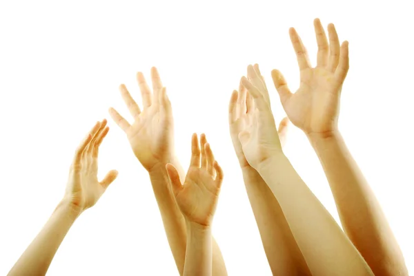 Hands on white — Stock Photo, Image