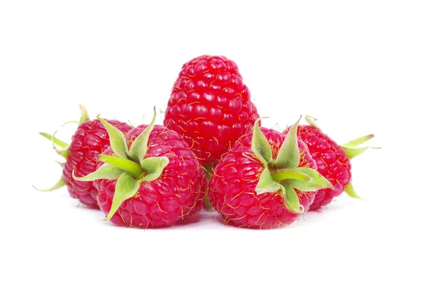Raspberry Royalty Free Stock Images