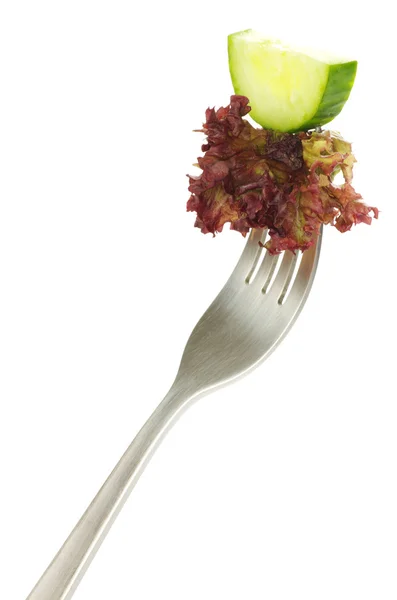 Komkommer op een vork — Stockfoto