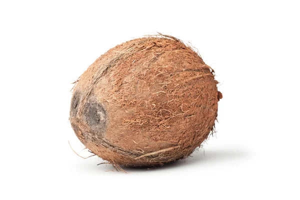Frische Kokosnuss isoliert auf weißem Hintergrund — Stockfoto
