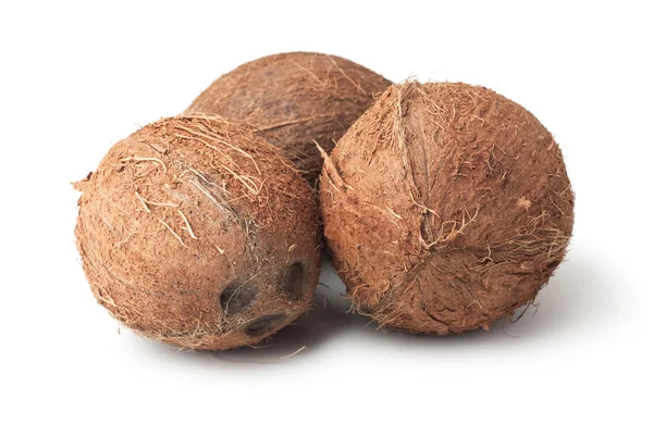Tres cocos aislados sobre el fondo blanco —  Fotos de Stock