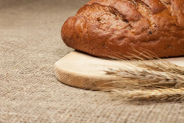 Pão fresco com espigas de centeio na tábua de pão — Fotografia de Stock