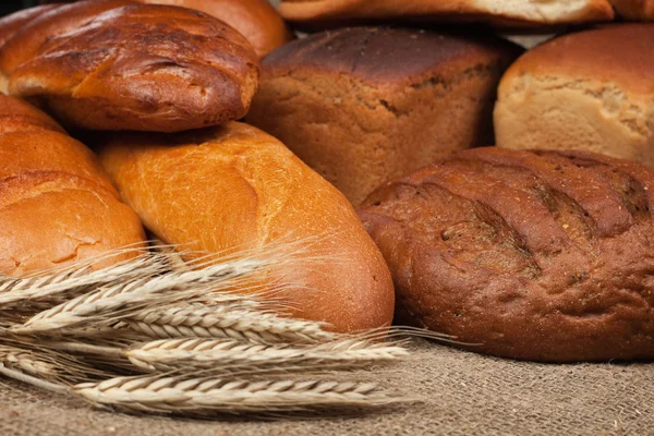 Variedad de pan fresco con espigas de centeno — Foto de Stock