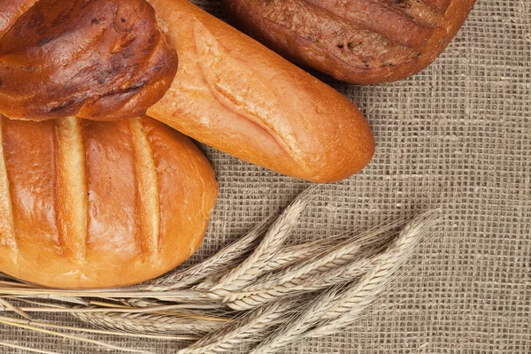 Variedade de pão fresco com espigas de centeio — Fotografia de Stock