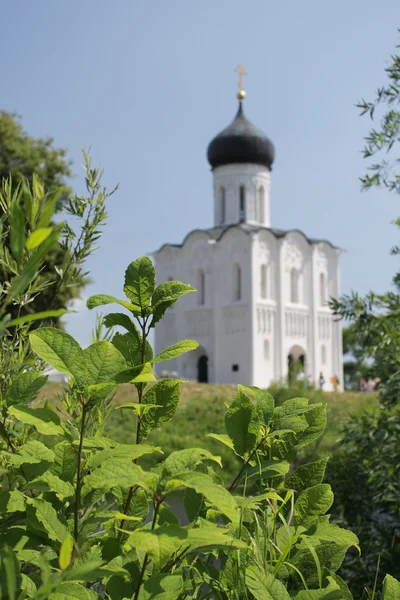 Iglesia de la intercesión en el río Nerl — Foto de Stock