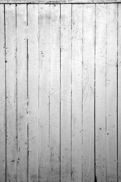 Zvětralé bílé dřevo — Stock fotografie