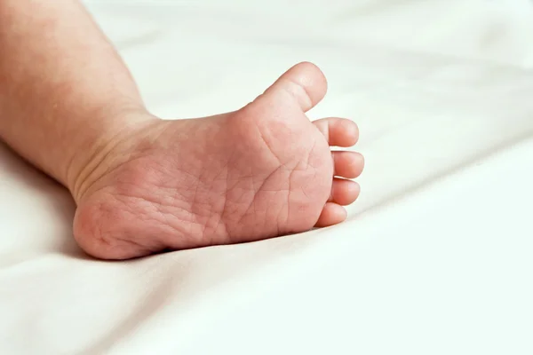 Little feet baby. — Stock Photo, Image