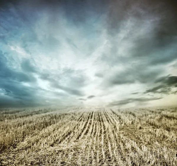 A táj, az ég és a mező — Stock Fotó