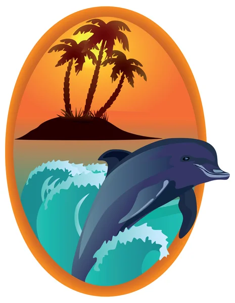 海豚对木框架中的热带岛屿. — 图库照片