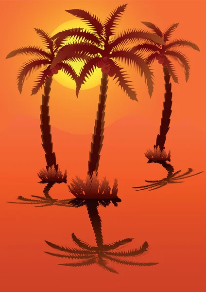 Palma proti oranžové nebe se sluncem. — Stock fotografie