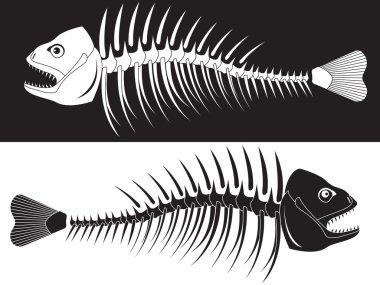 Skeleton of fish clipart