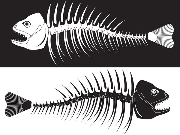 Σκελετό των ψαριών — Διανυσματικό Αρχείο