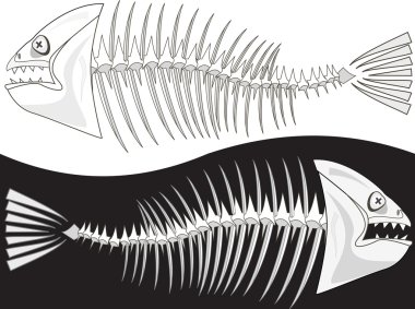 Balık bir iskelet kemikleri
