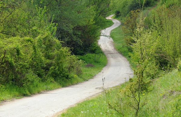 Winding Road in the Hilly Country — Stock Photo, Image