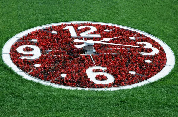 stock image Flower Clock Against Lawn Background