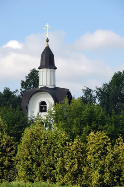 Weiße Kapelle umgeben von grünen Bäumen — Stockfoto