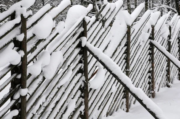 Cerca bajo la nieve — Foto de Stock