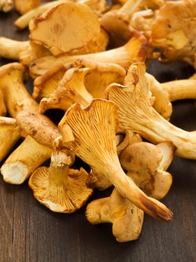 Chanterelles