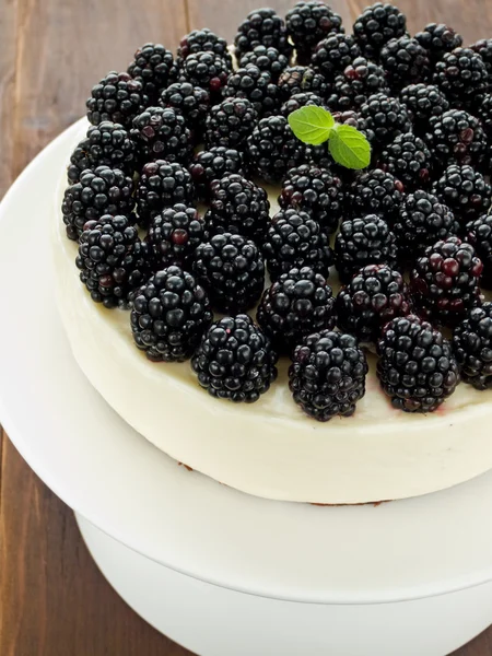 黑莓芝士蛋糕 — 图库照片