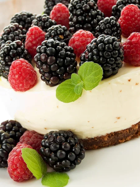 Berry cheesecake — Stockfoto