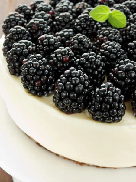 BlackBerry tvarohový koláč — Stock fotografie