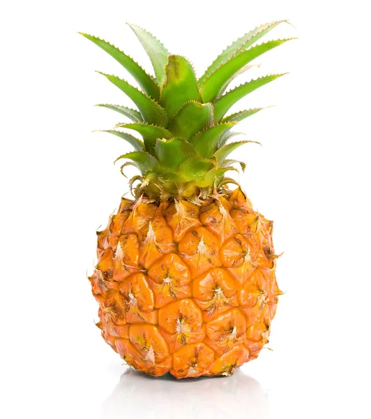Ananas proaspăt — Fotografie, imagine de stoc