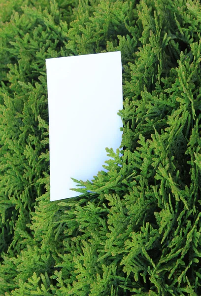 Yeşil yaprakları ile boş oyun kağıdı — Stok fotoğraf