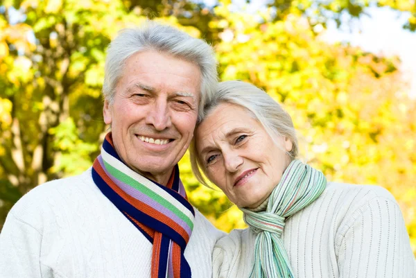 Nettes älteres Paar — Stockfoto