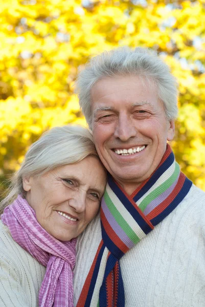 Συμπαθητικό ηλικιωμένο ζευγάρι — Φωτογραφία Αρχείου