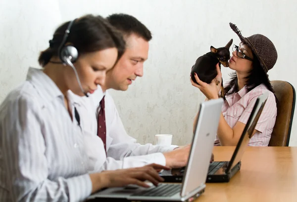 Empresários no escritório com laptops e um cachorro — Fotografia de Stock