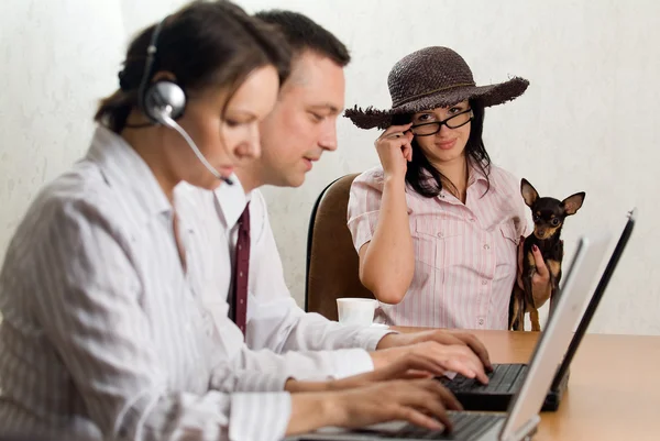 A glamour lady with a hat, spectacles and a dog at the office de — Stock Photo, Image
