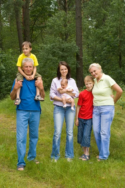 Портрет счастливой семьи из шести человек — стоковое фото