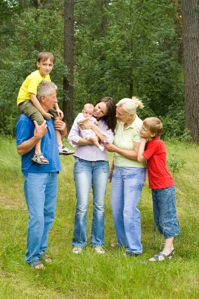 Family of six on the nature — Stock Photo, Image