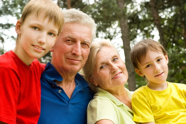Bejaarde echtpaar met hun kleinkinderen — Stockfoto