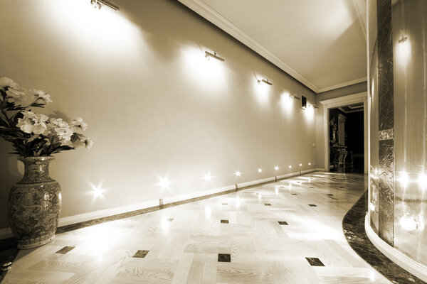 Цветы в длинном коридоре
