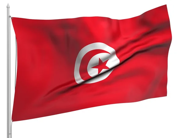 Tunézia - minden ország lobogója alatt hajózó — Stock Fotó