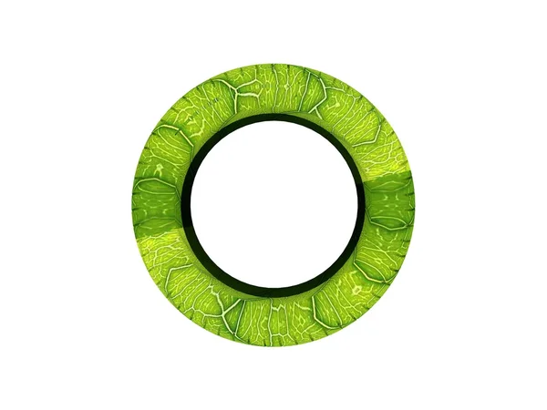 生态汽车轮子-绿色叶风格轮胎 — 图库照片