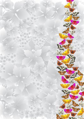 Flying butterflies on a gray background