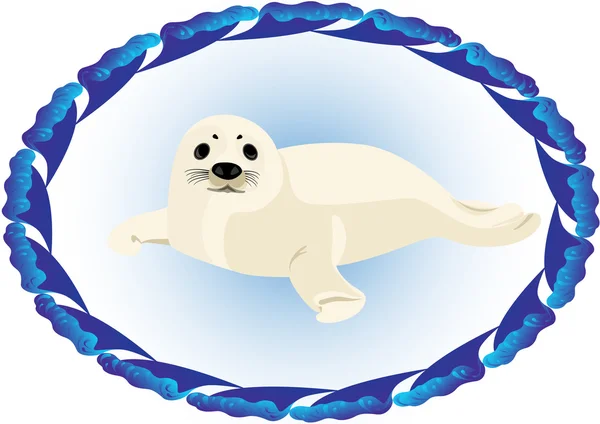 Una foca joven —  Fotos de Stock
