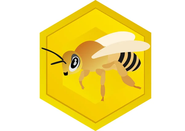 Pszczoła i o strukturze plastra miodu — Zdjęcie stockowe