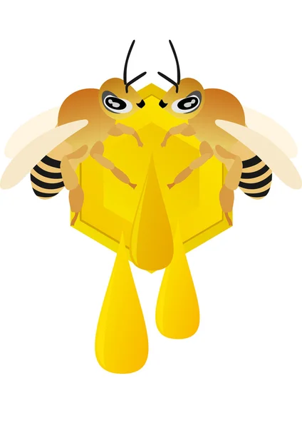 Bienen und Honig — Stockfoto