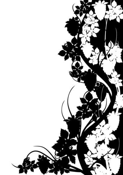 Fekete-fehér szőlő mintával — Stock Fotó