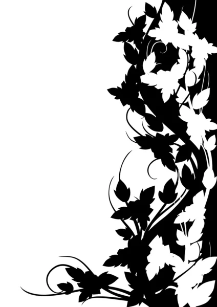Schwarz-weißes Rosenmuster — Stockfoto