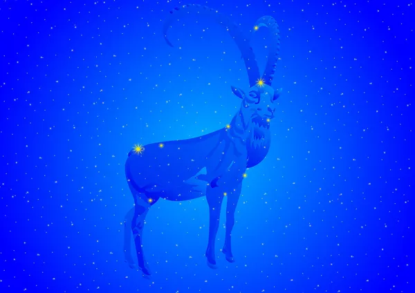 Constellation Capricorne — Photo