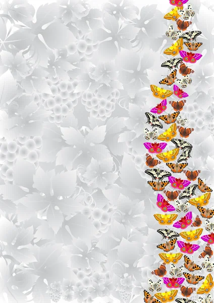 Літаючі метелики на сірому фоні — стокове фото